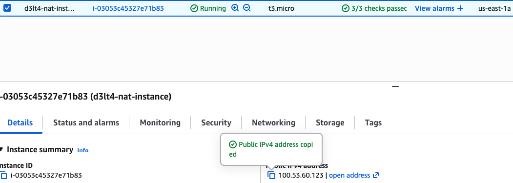 NAT instance running