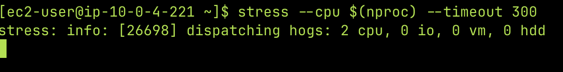 Stress test instancia 1b